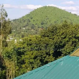Furnished 1bdrm Apartment in Hill Top, Central Business Area for rent