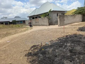 Chanik Kwa Makamu Wa Raisi