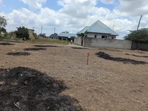 Chanik Kwa Makamu Wa Raisi