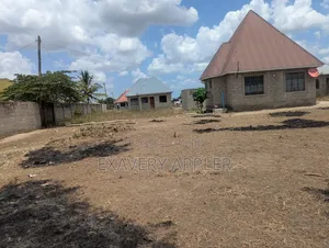Chanik Kwa Makamu Wa Raisi