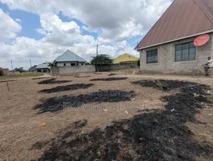 Chanik Kwa Makamu Wa Raisi