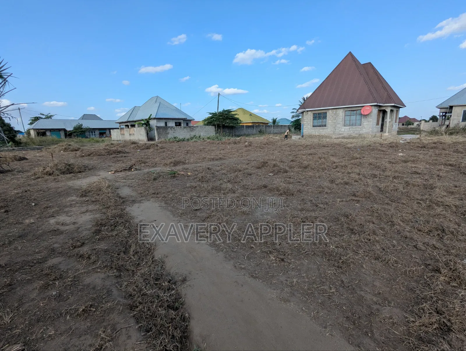 Chanik Kwa Makamu Wa Raisi