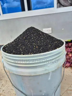 Mbegu Za Vitunguu(red Onion Seeds)