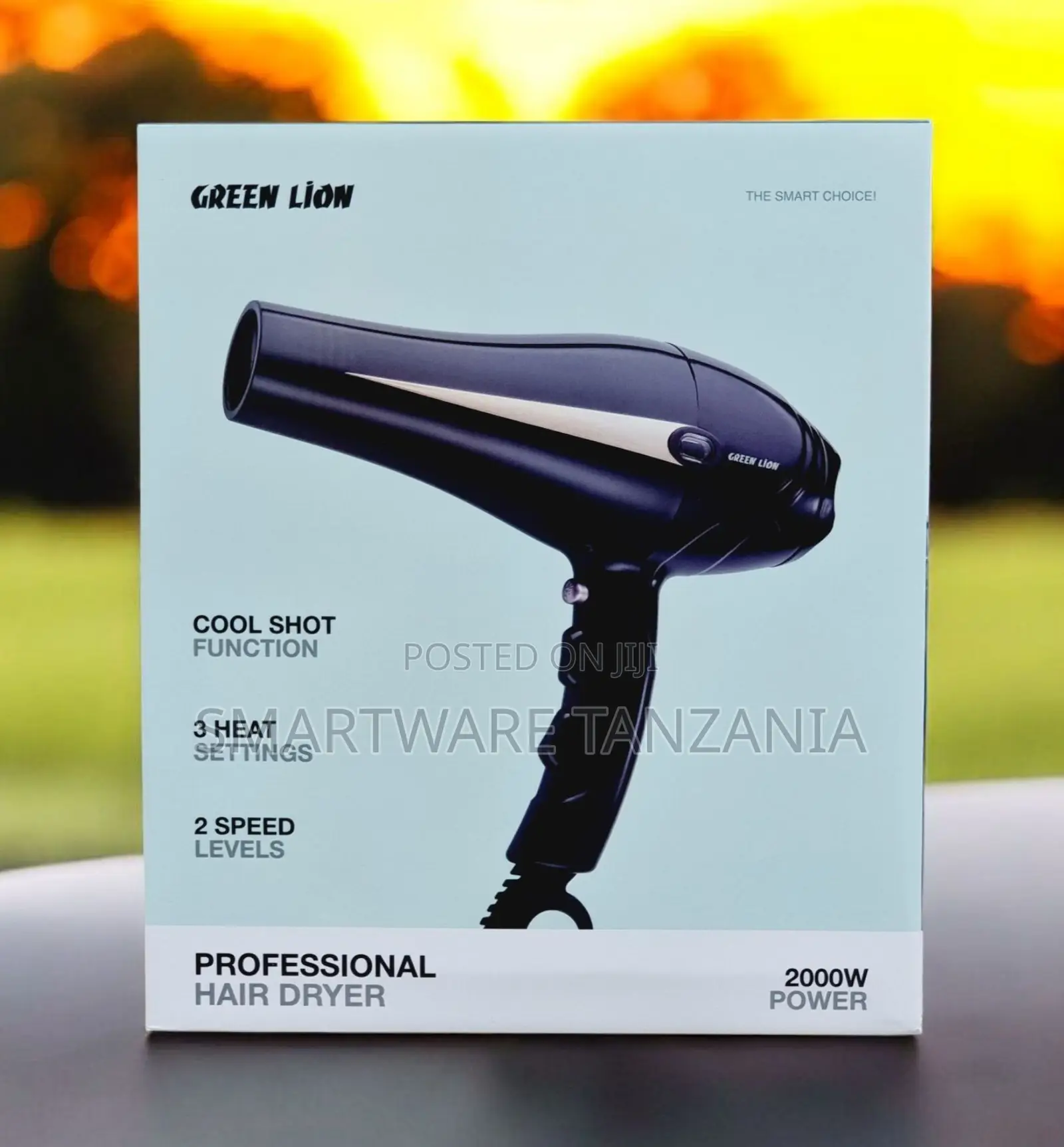 Green Lion Professional Hair Dryer, 2000W, 3 Heat Settings, 2 Speeds