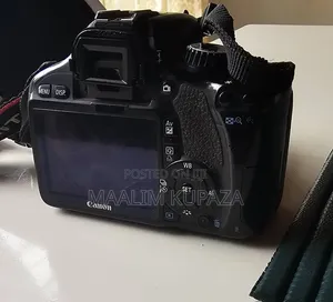 Canon EOS 550D and Sigma 300mm