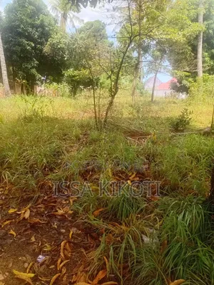 Kiwanja Kwa Mathias