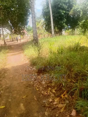 Kiwanja Kwa Mathias