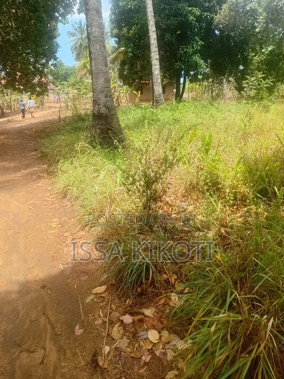 Kiwanja Kwa Mathias
