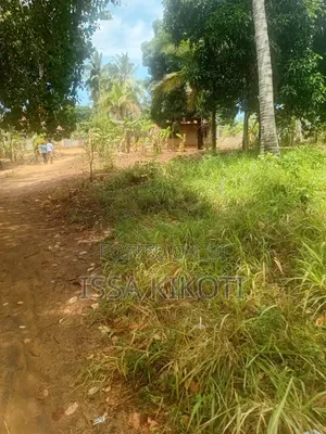 Kiwanja Kwa Mathias