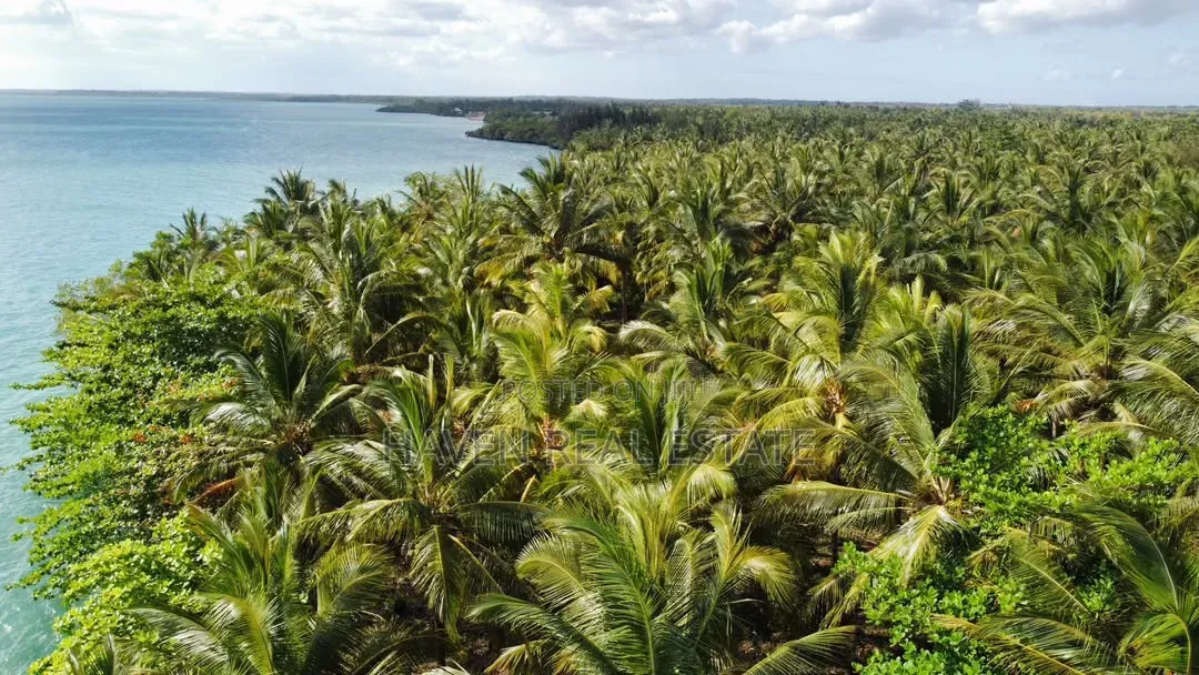 Prime Beach Plot for Sale at Kizimkazi Zanzibar