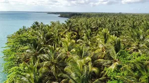 Prime Beach Plot for Sale at Kizimkazi Zanzibar