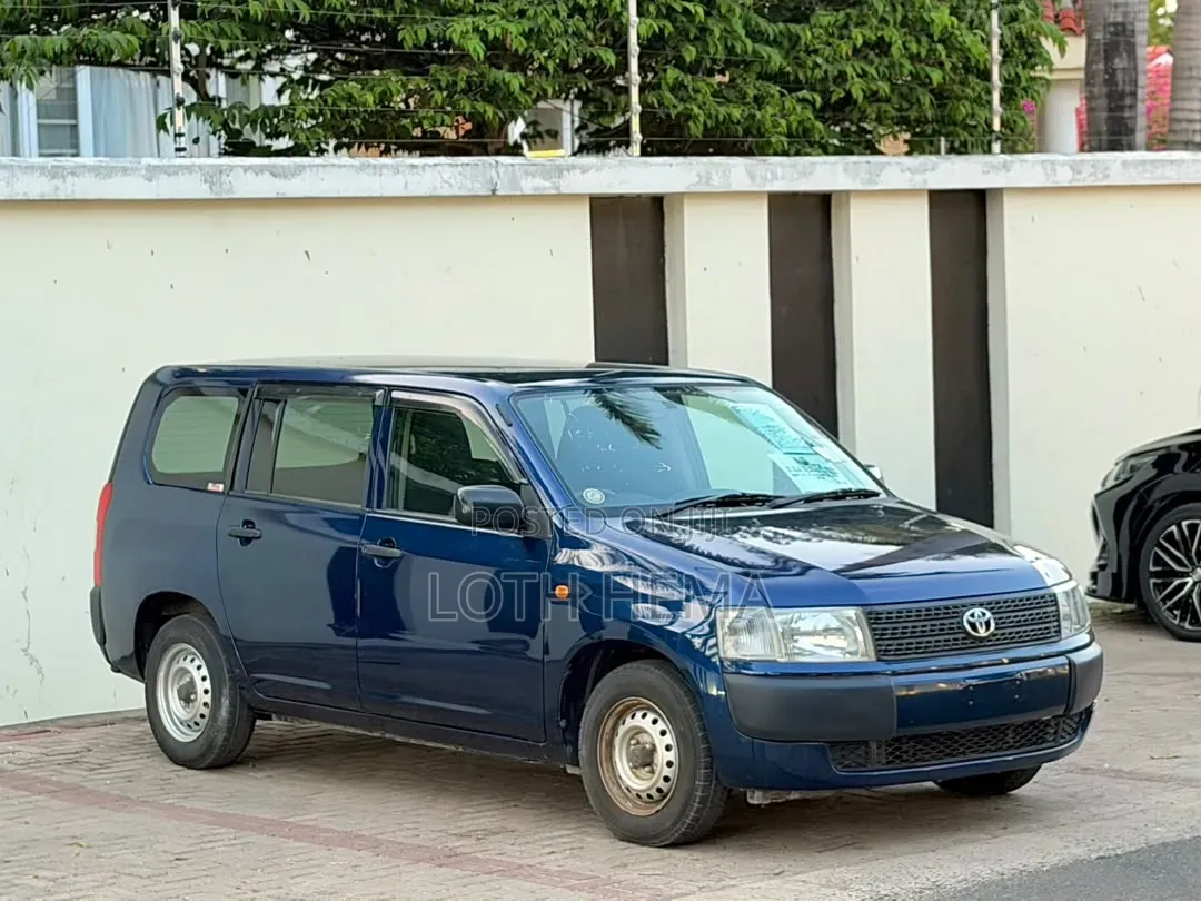 Toyota Probox 2013 Blue