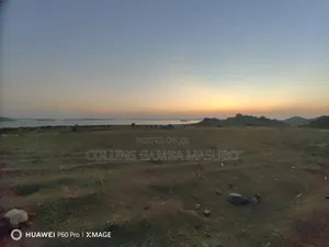 Farm Mwanza Kihandu