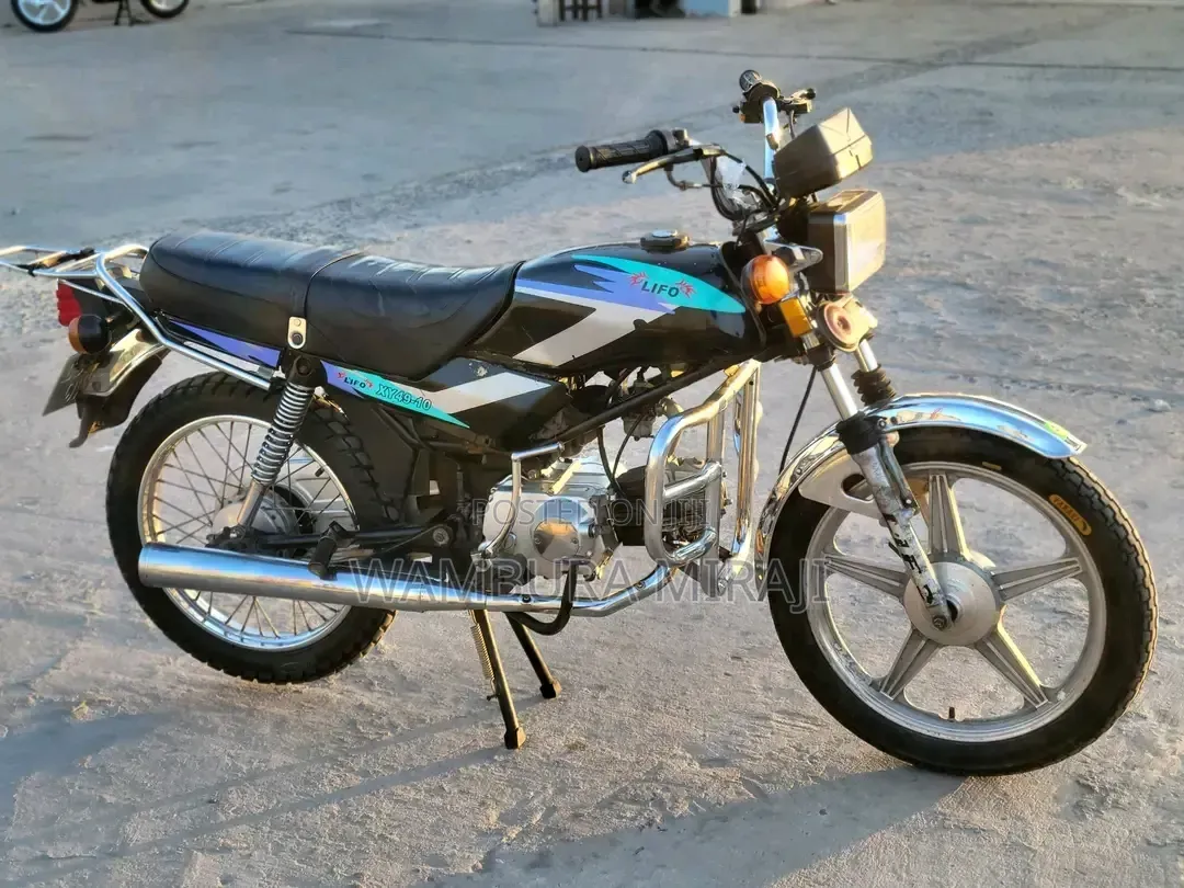 New Focin 2025 Blue