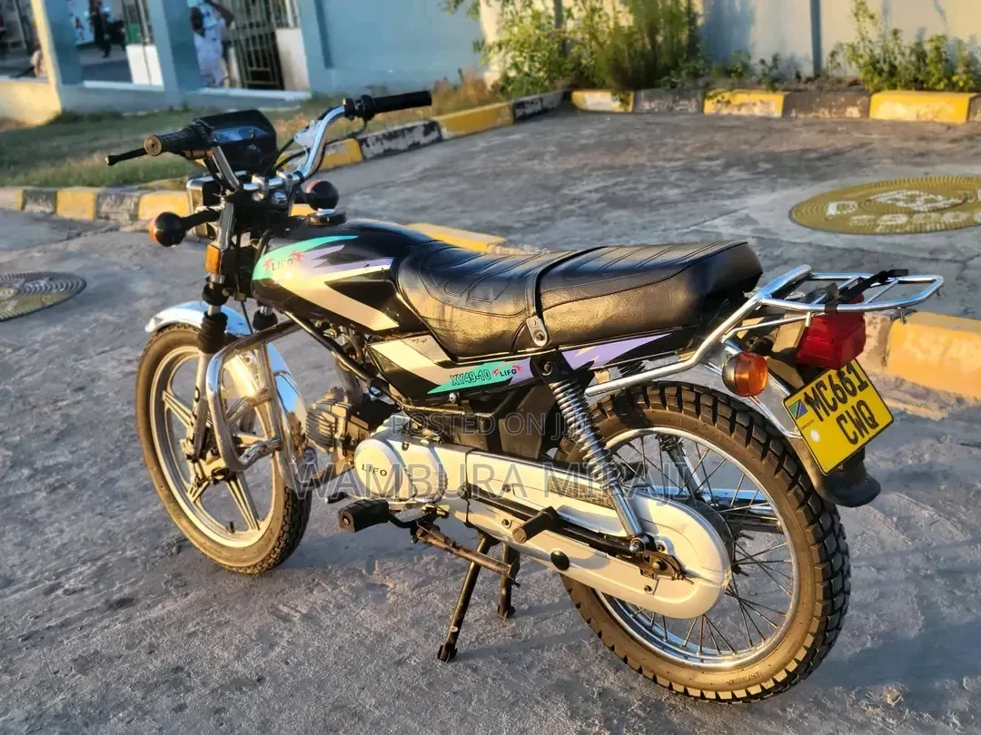 New Focin 2025 Blue