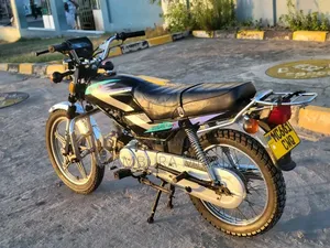 New Focin 2025 Blue