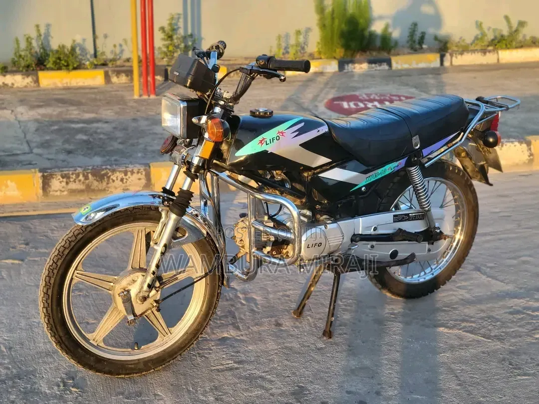 New Focin 2025 Blue