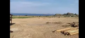 Farm Mwanza Kihandu