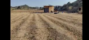 Farm Mwanza Kihandu