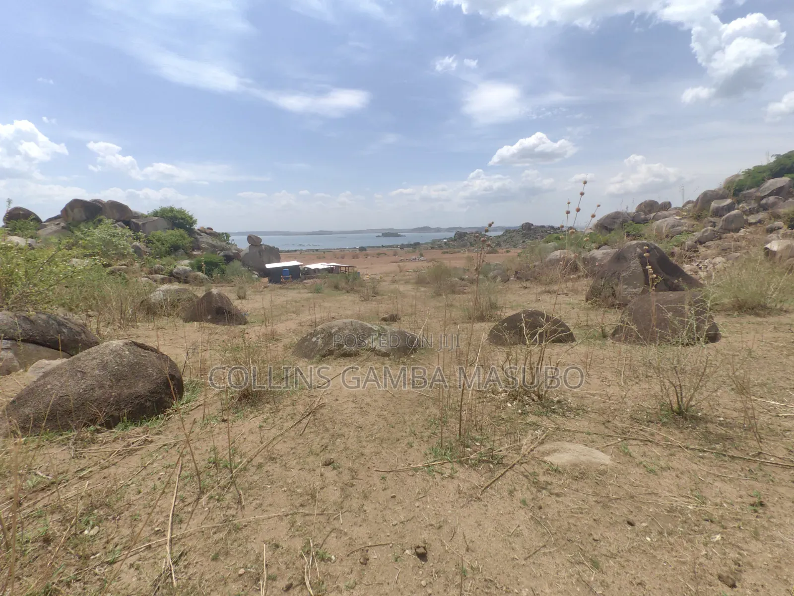 Farm Mwanza Kihandu