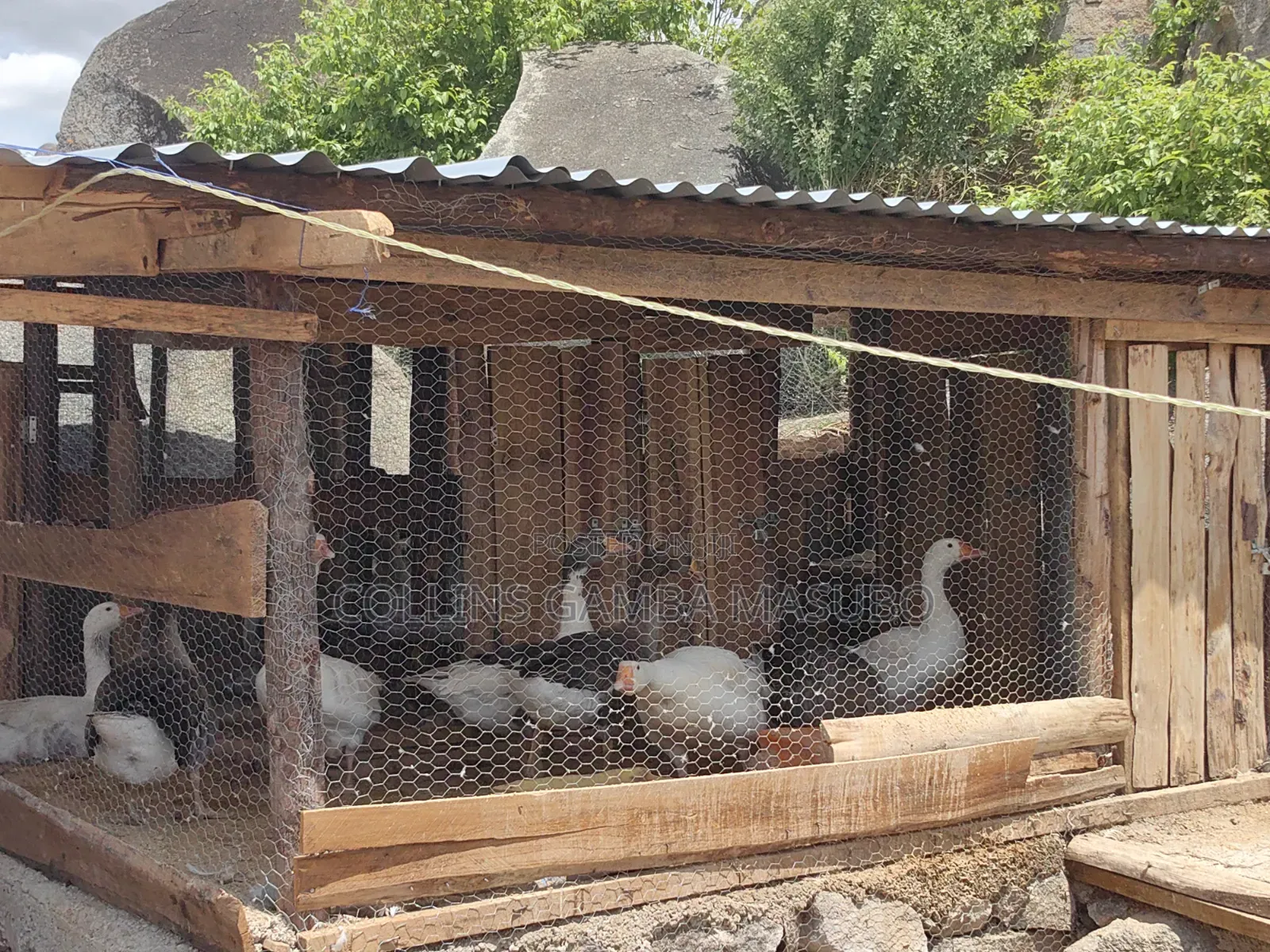 Farm Mwanza Kihandu