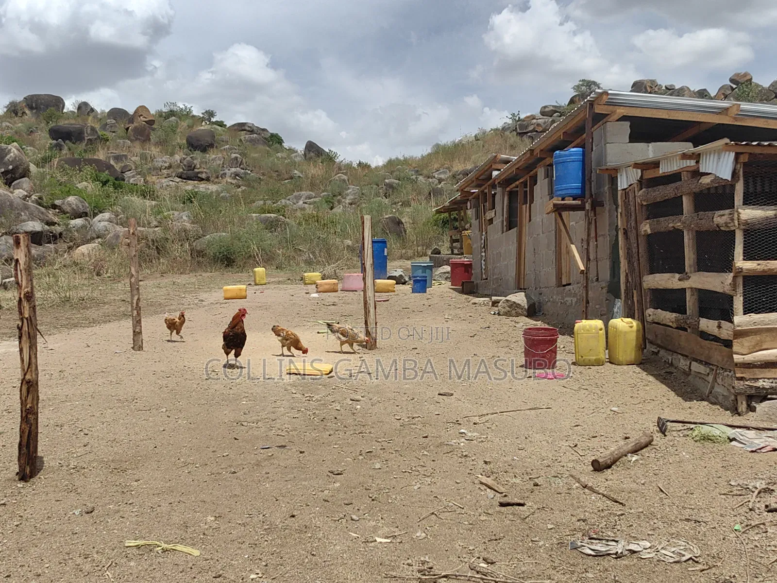 Farm Mwanza Kihandu