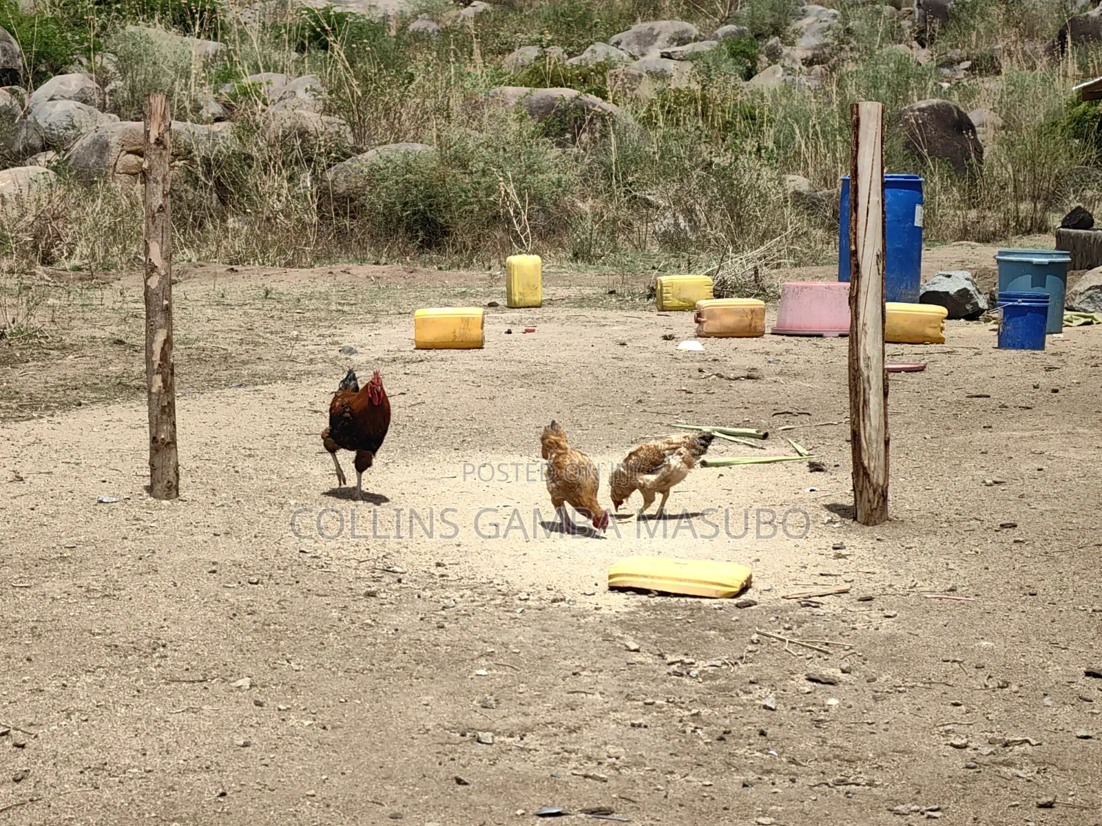Farm Mwanza Kihandu