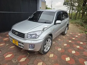 Toyota RAV4 Automatic 2003 Silver