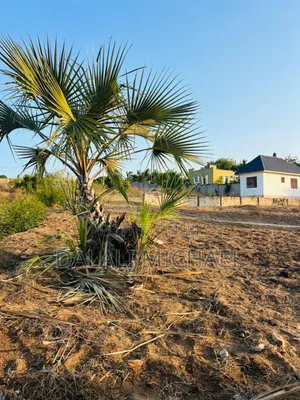 Good Plot for Sale Bunju Beach