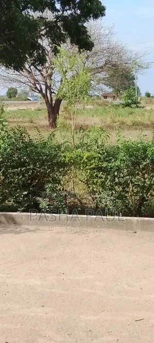 Plots in Kidomole, Bagamoyo Adjacentto Tanga Highway