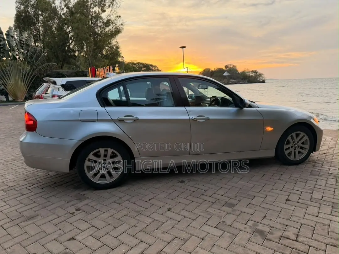BMW 3 Series 2010 Silver