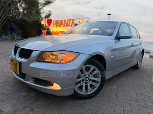 BMW 3 Series 2010 Silver