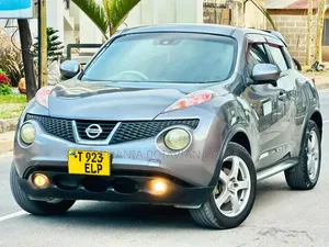 Nissan Juke 2011 Gray