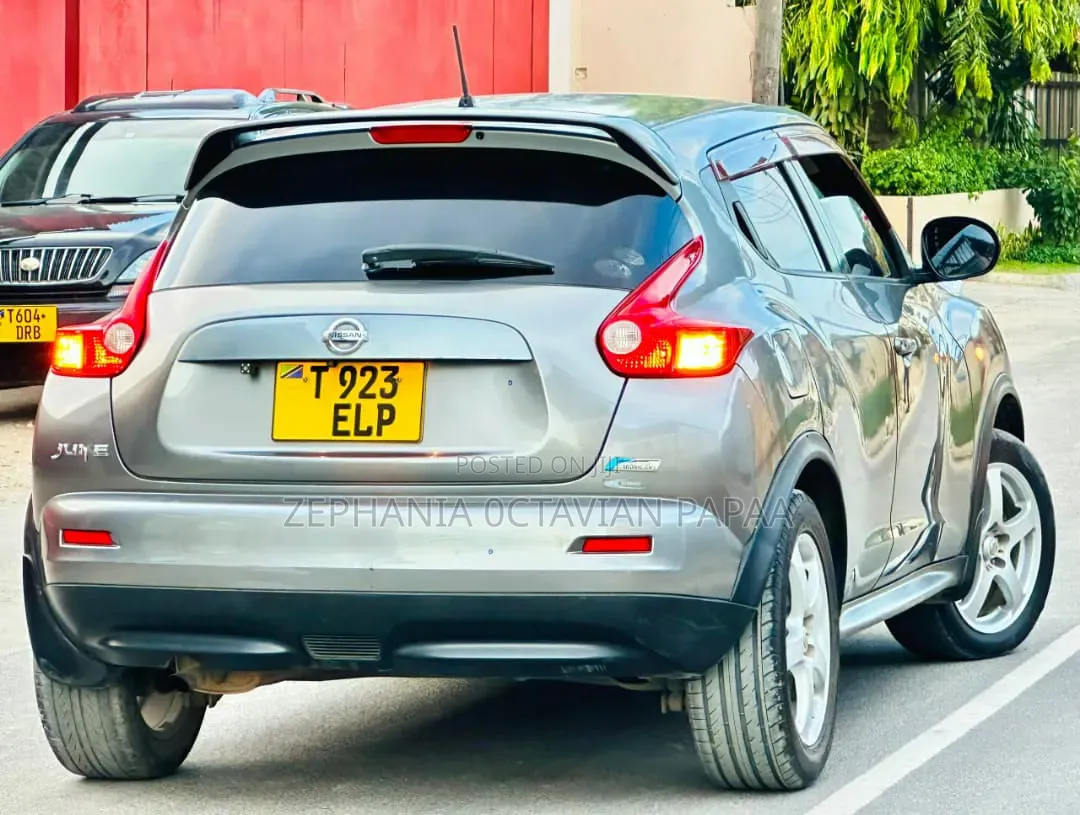 Nissan Juke 2011 Gray