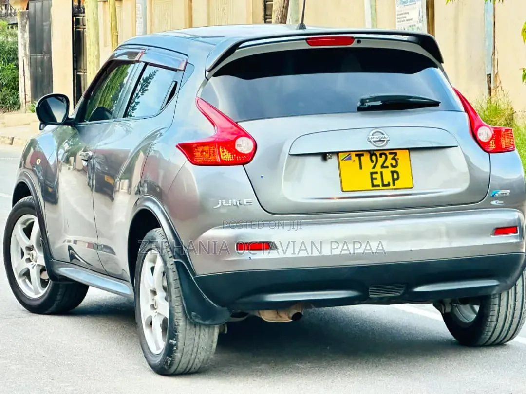 Nissan Juke 2011 Gray