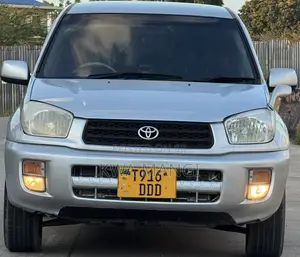 Toyota RAV4 Automatic 2003 Gray