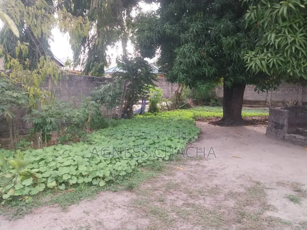 Plot and House for Sale