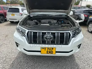 Toyota Land Cruiser Prado 2020 Pearl