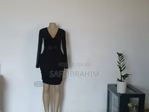 Dresses and Clothing