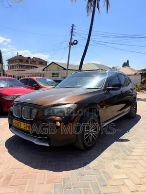 BMW X1 xDrive20d 2012 Gold