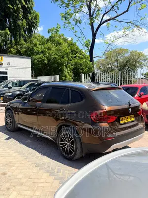 BMW X1 xDrive20d 2012 Gold