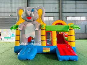 Jumping Castle