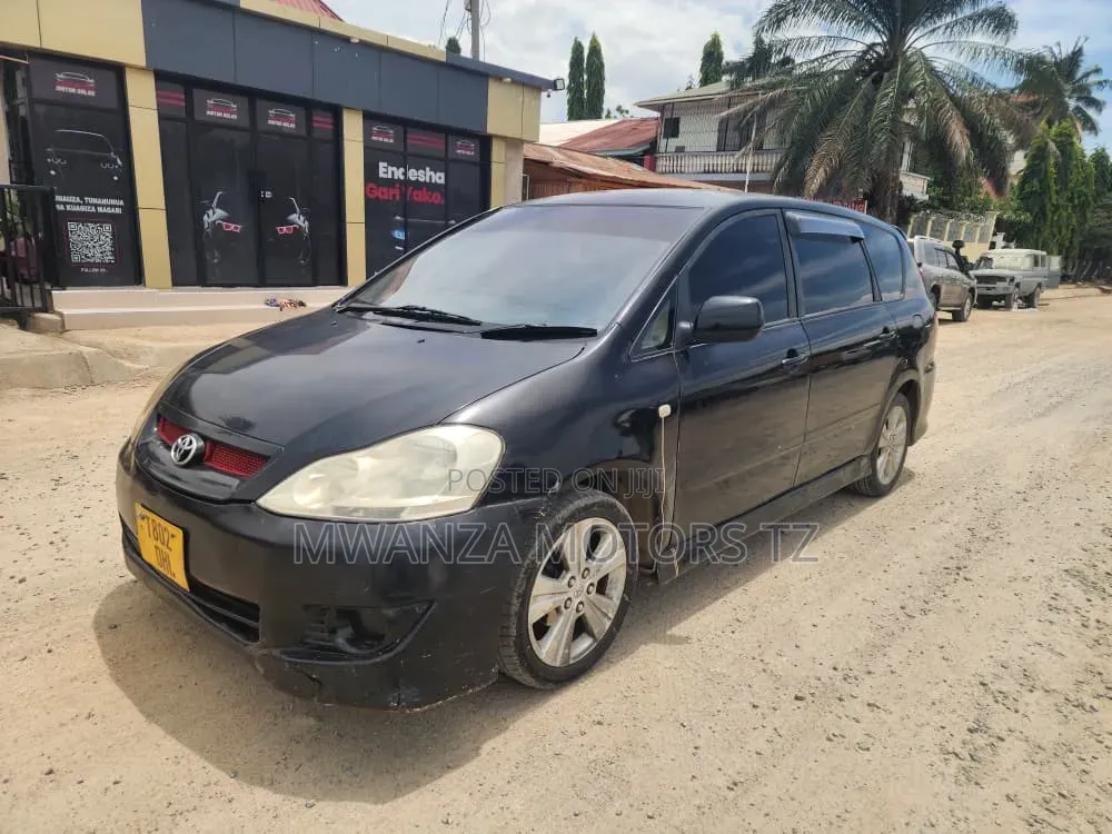 Toyota Ipsum 2003 Matt Black