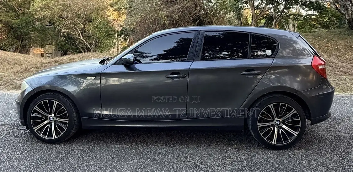 BMW 1 Series 2010 Gray