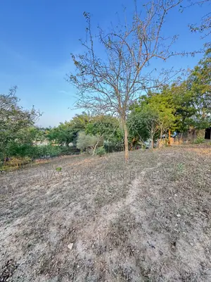 Plot for Sale Mbezi Mwisho Jirani Na Stend