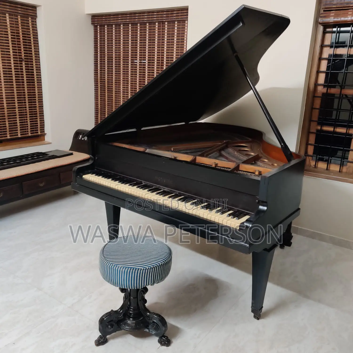 Piano,guitar and Music Theory ONLINE Classes