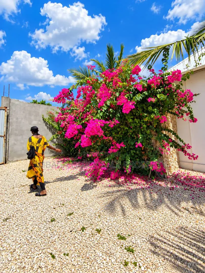 3bdrm Apartment in Paje, Mjini for rent