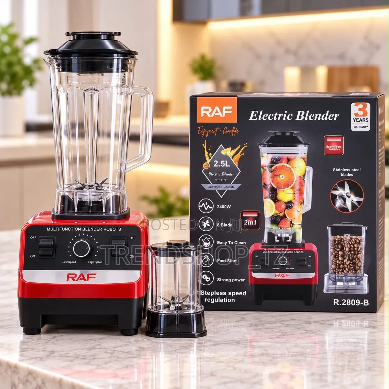 RAF Electric Blender 2.5L