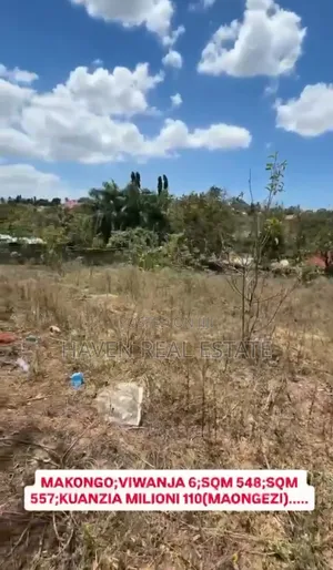 Viwanja Vinauzwa Makongo
