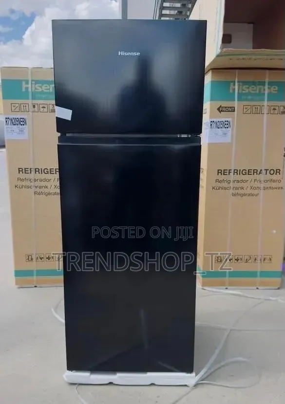 Hisense Fridge Rt1N205NEBN